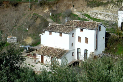 Landejendom i Montefrio, Granada, Montefrio - € 360.000 | Ref: 184 - foto 2